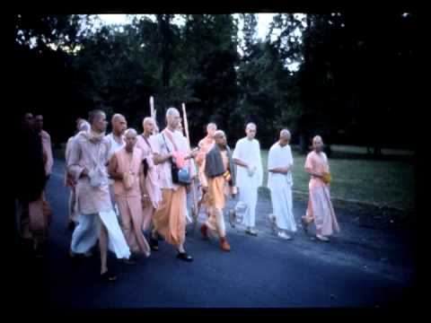 Don't Do Your Own Thing (Morning Walk)