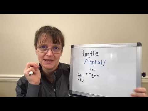 How to Pronounce Turtle
