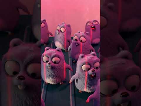 Lavagem de Cães #GrizzyeosLemingues #cartoonito #curtas