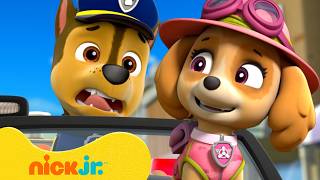 Download lagu How to Deal with Big Feelings with PAW Patrol! | Nick Jr. mp3 Download lagu How to Deal with Big Feelings with PAW Patrol! | Nick Jr. mp3