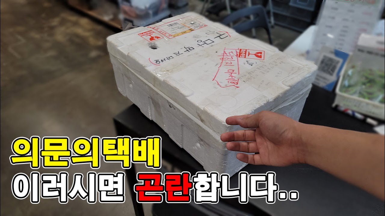 의문의택배)이거 도대체 누가 보낸거죠? 바로 연락주세요..