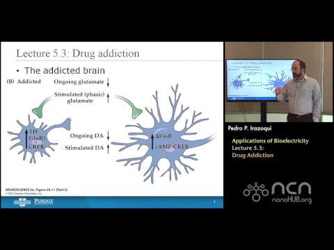 nanoHUB-U Bioelectricity L5.3: Applications of Bioelectricity - Drug Addiction
