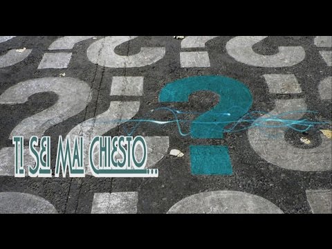 Ti Sei Mai Chiesto...