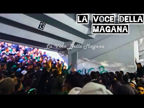 Groupe Musical Curva Sud Casablanca | La Voce Della Magana 🥁🎺