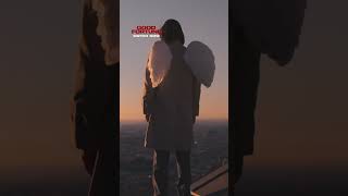 wing size does matter.