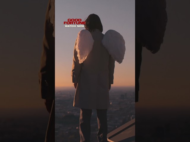 wing size does matter.