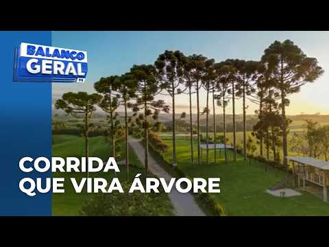 Cada inscrição vai garantir o plantio de duas árvores em São José dos Pinhais
