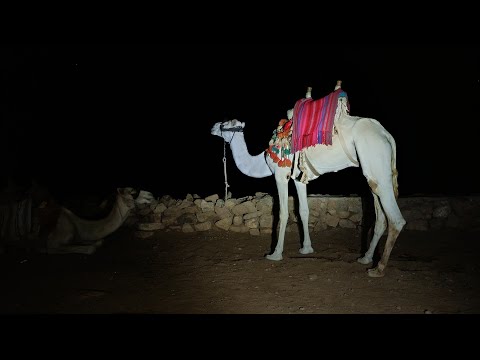 Nocne wejście na Gebel Musa / Górę Mojżesza 2285 m n.p.m.