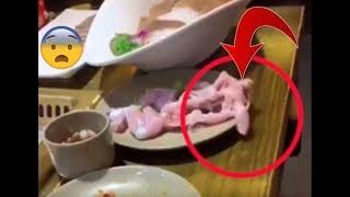 BADA.TV 바다티비