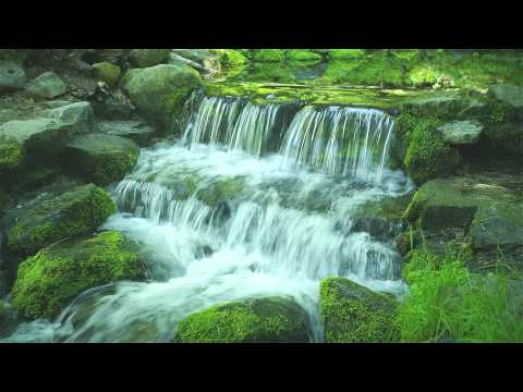 Green Stream HD Video & Alarm Video