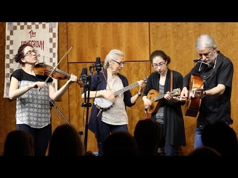 Live! Folklife Concert: The Homegrown String Band (The Man Who Dressed in Black)
