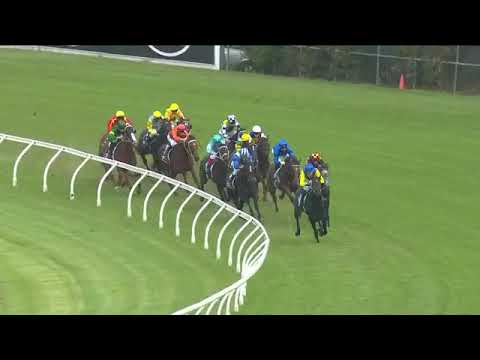 Aloisia- Group 1 Vinery Stud Stakes, March 31, 2018