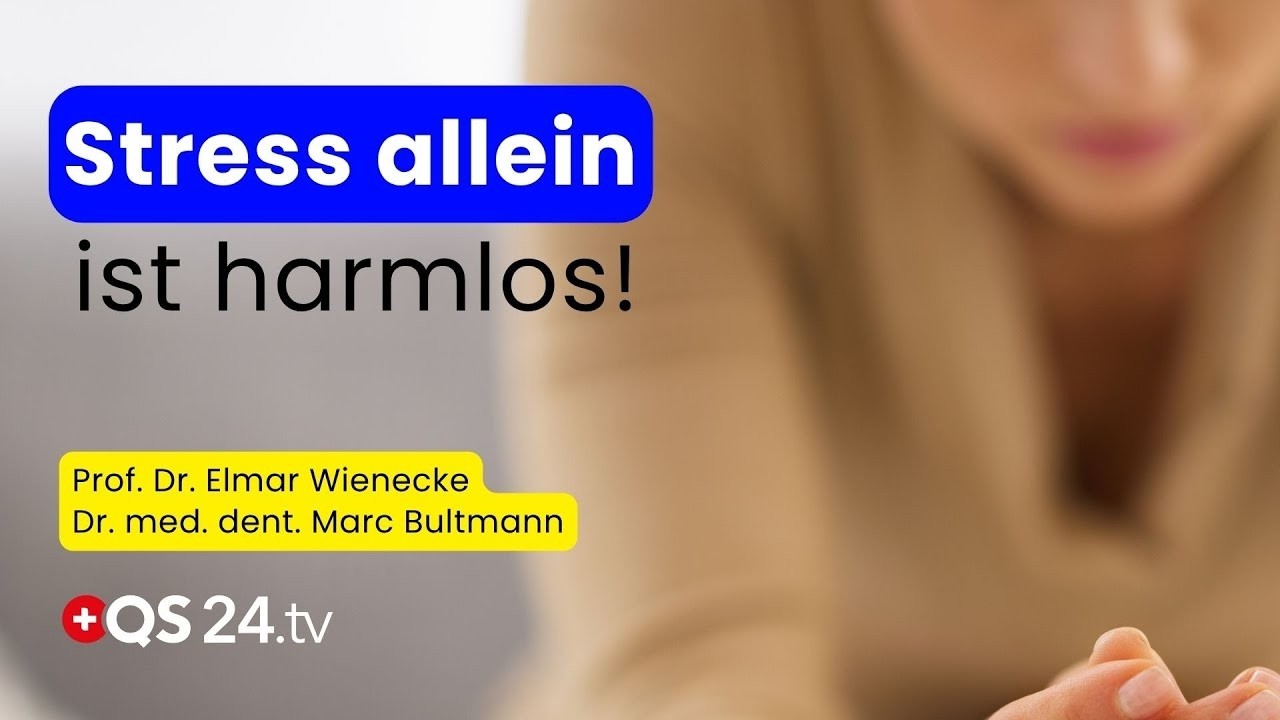 Warum Stress krank macht – und welche Rolle Mikronährstoffe wirklich spielen | QS24 Gremium