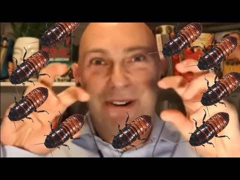 Shaun Attwood's Disturbing Cockroach Prison Story