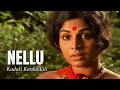 Kadali Kankadali Malayalam Movie Songs Nellu 1974