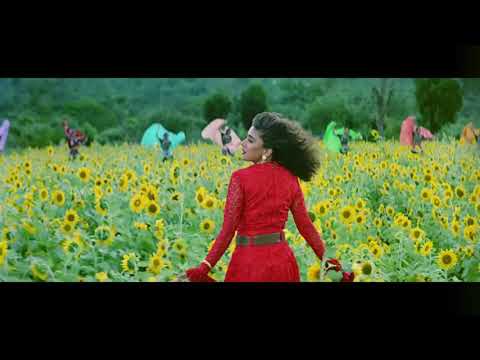 Phoolo kaliyo ki bhare /Radhe sinha