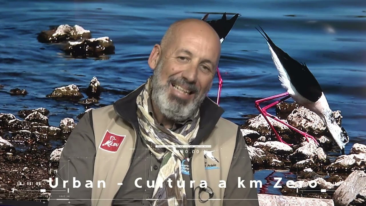 Ambiente - Riserva Naturale Orientata Saline di Priolo, ne parliamo con Fabio Cilea