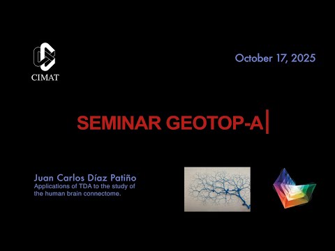 GEOTOP-A | Juan Carlos Díaz | Applications of TDA to the study of the human brain connectome.
