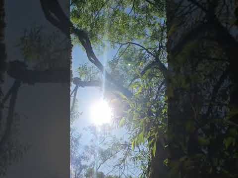 Miteinander für Frieden Liebe und Licht für Mutter Erde und alles Leben.