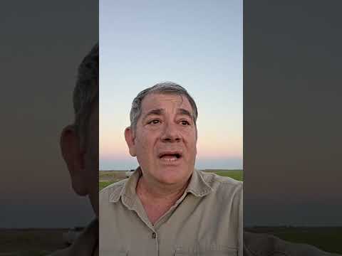 Roberto Polentarruty denuncia derivas de 2.4D en su algodón de Los Frentones, Chaco