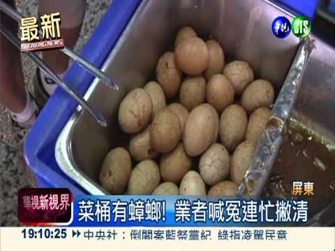 噁心營養餐! 茶葉蛋桶驚見死蟑螂