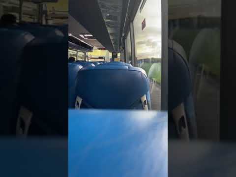 Stagecoach plaxton elite YX64 WCF on the 99 to Luton