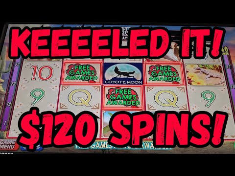 COYOTE MOON FOR THE WIN!!! HUGE BETS MEANS HUGE WINS ..... RIGHT?