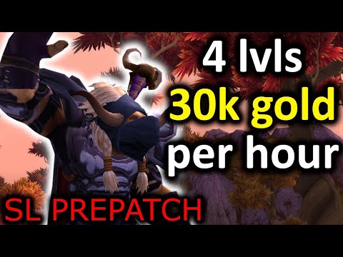 WoW Steady Solo Farm 50 000 Gold + 4 Levels Per Hour
