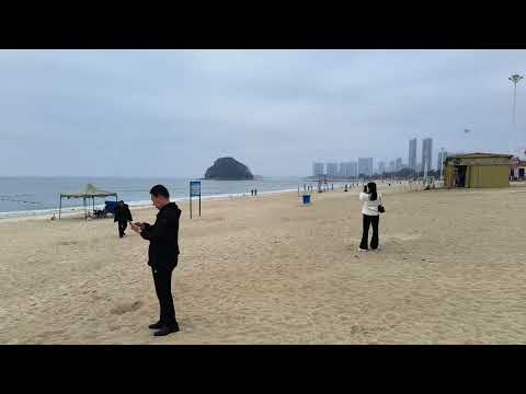 冬天的大亞灣的「黃金海岸」，遊客稀少，我陪著內蒙古自治區赤峯市來玩的退休大哥來看海#廣東省#惠州市#大亞灣開發區#旅行