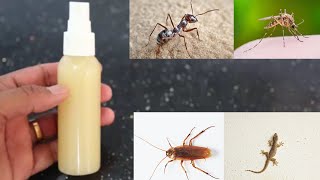 Just On Spray || All Gone ||Amizing Spray || 2Minutes Kill All Ants ,Cockroach,Lizard,Mosquito