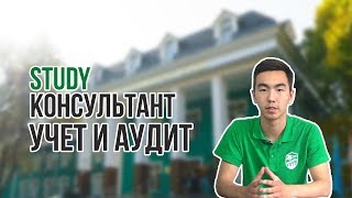 Study-консультант | Учет и аудит