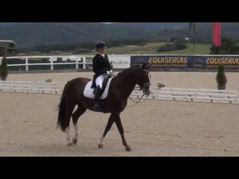 Starší junioři - Nedělní küry při mistrovství ČR 2016 v drezuře