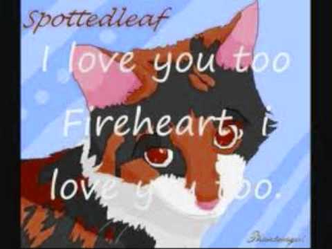 Firestar's mate and beloved - Love story