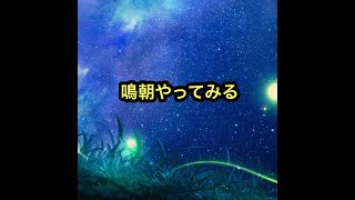右も左も分からないけど鳴朝やってみる