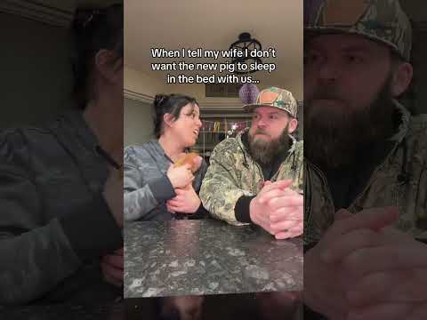 Good chat.. #pig #in #a #blanket