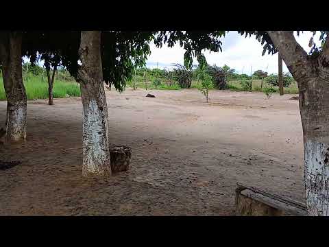 Meu interior Serra dos caboclos municipo de caldeirão grande do piaui 
