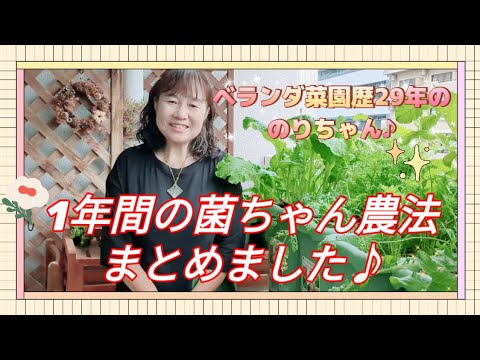 バナナの木が喉が渇いているかどうかはどうやってわかりますか?水やりのポイント  庭園