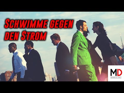 Schwimm gegen den Strom│Maximus Daily