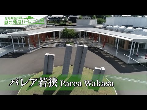 29 パレア若狭