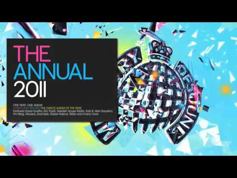 The Annual 2011 (Ministry of Sound) Mega Mix