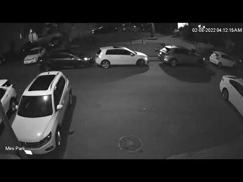 20220208 SF 05 Burglar on the prowl