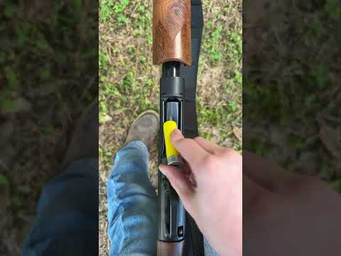 #SundayGunday: Winchester SXP Hybrid Hunter