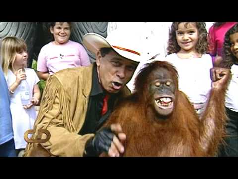 BETO CARRERO Carinho com Os Animais  Apresentação VIRGINIA a LULLY