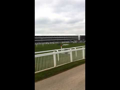 Cheltenham 2016 - Champion Chase - View from Inside the Course