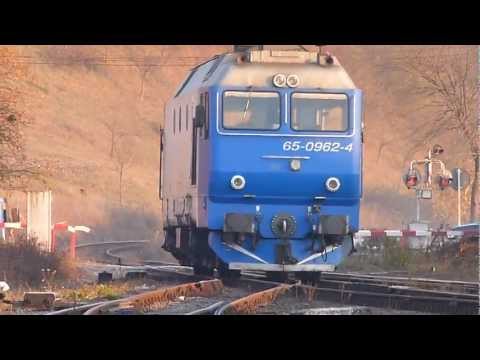 Trenuri / Trains in Bratca Vol.11