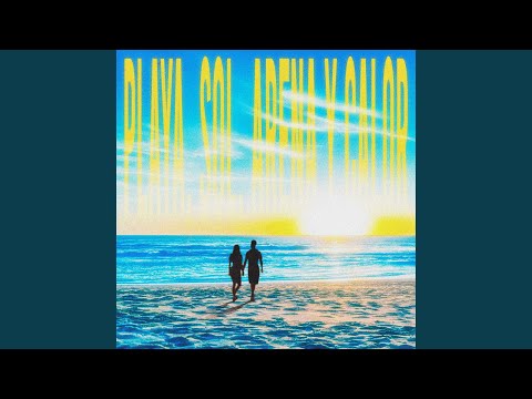 Playa, Sol, Arena y Calor