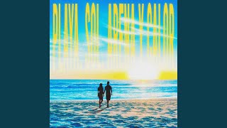 Playa, Sol, Arena y Calor
