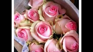 Que ya no estas grupo laberinto