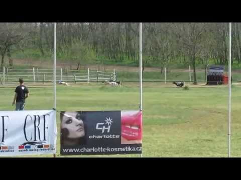 Cseh derby 2013.04.27, Isaszeg