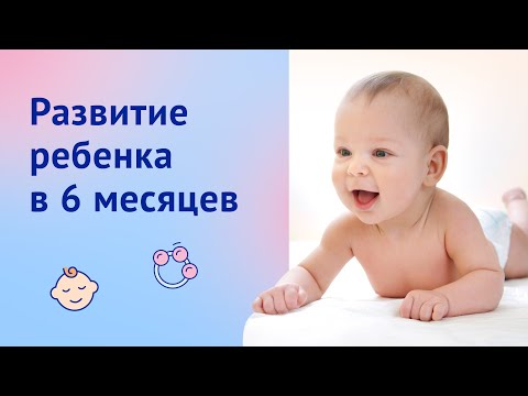 Развитие ребенка в 6 месяцев